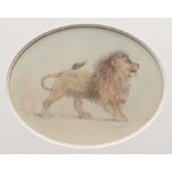 William Huggins (1820 - 1884), pencil and pastel study - A Lion, signed, in oval mount, 21.