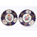 Early 19th century Derby porcelain plates painted with floral spray reserves on blue and gilt