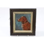 Late 19th century English School oil on board - 'Beau', a Red Setter, initialled - C. G.