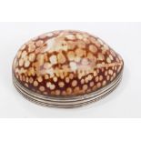 George III silver mounted cowrie shell snuff box with hinged cover (London 1812), maker - G. R.