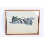 Second World War watercolour of a Hawker Tempest, signed and dated 11/11/43,