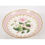 Victorian porcelain comport with polychrome painted Camellia to centre and pink and gilt ground,