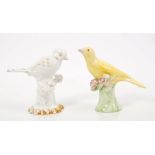 18th century Derby porcelain yellow canary on flowering branch,