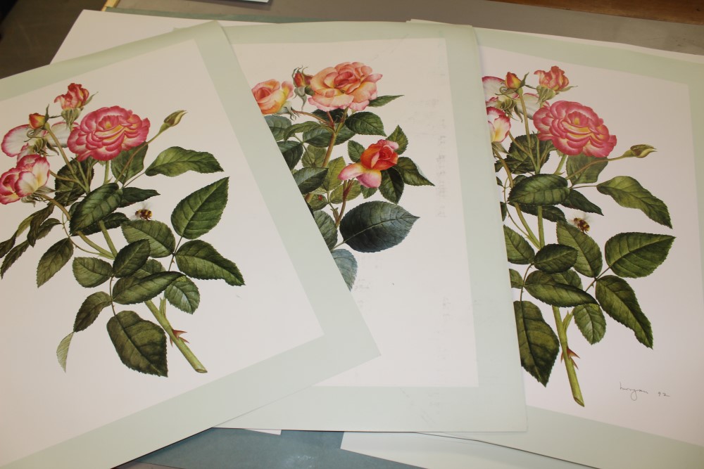 *Glyn Morgan (1926 - 2015), collection of unframed botanical illustrations, - Image 3 of 4