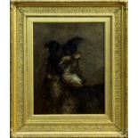 Percy Thomas Macquoid (1852 - 1925), oil on canvas - portrait of a Lurcher, signed, in gilt frame,