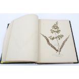 Fine quality mid-Victorian album of pressed ferns,