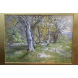 Charles James Adams (1859 - 1931), watercolour - Early Spring, sheep beneath trees, signed,
