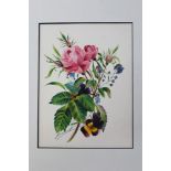 Collection of four early 19th century English School botanical watercolours,