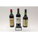 Wine - thirteen bottles, including: Chateau La Tour De Mond Margaux 1992,