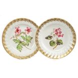 Pair of 18th century Derby botanical plates finely painted in coloured enamels with 'Geranium' and