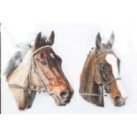 Miranda Bowen, watercolour - portraits of horses 'Synchronised' and 'Don't Push It',