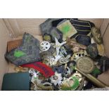 Group of British Military cap badges and cloth military badges,