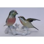 Karl Ens porcelain Pink Head Finches group - 12cm high CONDITION REPORT Possibly