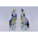 Two Karl Ens porcelain parakeets,