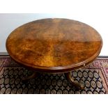 Vict Burr Walnut Centre Table Dimensions: Diameter 120cm 74cm H