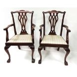 Pair of Mahogany Carver Chairs Ball & Claw