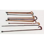 Unusual Collection of Walking Sticks ( 10 )