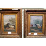 After T. S. Cooper: a pair of gilt framed oils on canvas - cattle groups - 8" X 5 1/2"