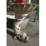 A concrete birdbath in the form of a classical dolphin supporting a clam shell