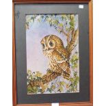 A framed mixed media drawing study of a perching owl - signed with monogram