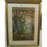 Thomas Taylor Ireland: a gilt framed watercolour, depicting a woodland stream - 20" X 13 1/4"