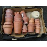 Two boxes containing terracotta plant pots