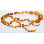 A single string graduated orange amber bead necklace - clasp detached