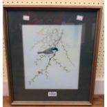 Geoffrey Campbell-Black: an oil on canvas painting of a coal tit on a larch branch - signed - 11 1/