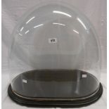 A large oblong glass dome 23" long X 15" wide X 20" high, set on an ebonized base