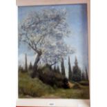 Patricia Fishwick: an oil painting entitled Olive Trees, Corfu - signed, dated and inscribed verso