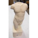 A 17 1/2" plaster model of a male torso on plinth base