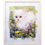 A framed watercolour study of a kitten - signed Patrick