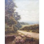 Charles H. Passey: a gilt framed oil on canvas depicting sheep in an extensive rural landscape,