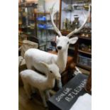 A festive buildable plush model of a white stag and fawn - stag 48" to top of head, fawn 34" to