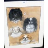 An ebonised framed mixed media study of four Pekingese dogs heads - 23 1/2" X 18"