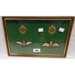A framed display of Royal Flying Corps and Royal Air Force wings and cap badges