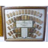 AN OAK FRAMED ADVERTISING DISPLAY, containing forty eight timber samples by Fitchett & Woollacott