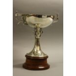 A SILVER TWIN HANDLED PRESENTATION CUP, inscribed The Northern Delphinium Society, The Hewitt Cup