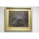 AFTER JOHN EMMS, 'The Post Horse', oil on canvas signed Jno Emms and dated 1905 lower right,