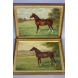 BENEDICT HYLAND, two 19th Century Equine studies, oil on canvas, 'Queen of The South 12246',