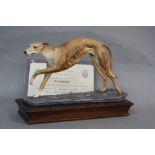 AN ALBANY FINE CHINA LIMITED EDITION FIGURE OF A GREYHOUND, No.80/250, mounted on a wooden plinth,
