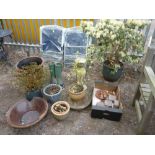 A QUANTITY OF VARIOUS PLANTERS, etc, some with plants (sd)