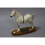 A BESWICK WELSH MOUNTAIN STALLION, 'Gredington Simwnt' No 2541A