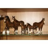 A GROUP OF BROWN BESWICK HORSES, 'Shire Foal' No.1053, 'Thoroughbred Stallion' No.1992, Huntsman's