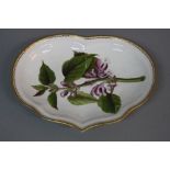 A DERBY PORCELAIN KIDNEY SHAPED BOTANICAL DISH, painted with a 'Balm leaved Archangel Or Dead