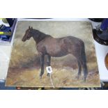 20TH CENTURY BRITISH SCHOOL, BROOD MARE IN A STABLE, oil on canvas mounted over card, unframed, 40cm