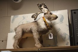 A BOXED STEIFF REINDEER, limited edition No 104 of 1500, complete with certificate, length