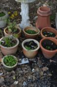 SEVEN VARIOUS PLANT POTS, and a terracotta chimney pot (sd) (8)
