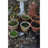 SEVEN VARIOUS PLANT POTS, and a terracotta chimney pot (sd) (8)