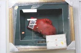 A FRAMED EVERLAST BOXING GLOVE WITH SIGNATURES OF NINE HEAVYWEIGHT CHAMPIONS, including Muhammad